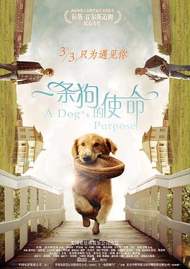 黑白配hd视频