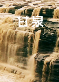 女朋友的贝壳